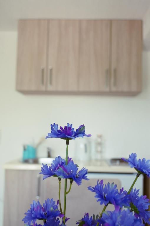 Апартаменты Mayflower Apartment Тиват